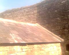 shannonbridge cap-1873.jpg